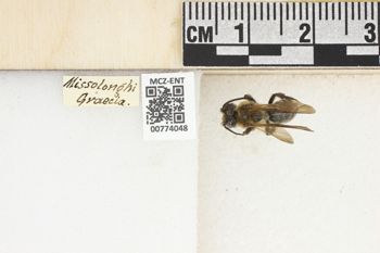 Media type: image;   Entomology 774048 Aspect: Labels